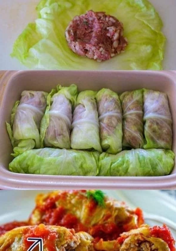 Stuffed cabbage recipe – RECIPES