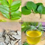 A natural drink to cleanse the colon and relieve urinary tract infections