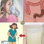 Balance Sugar, Boost Circulation, and Detox Naturally!