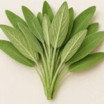 A Single Ingredient to Combat Bone Pain, Diabetes, Anxiety, Depression, and Constipation!