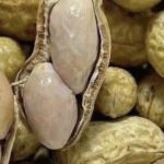 Natural Potato and Black Pepper Pain Reliever