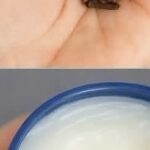 Collard Greens and Avocado for Knee Joint Health