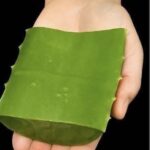 Cilantro: More Than Just Flavor