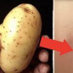 The Ultimate Cheesy Ground Beef & Tomato Bake