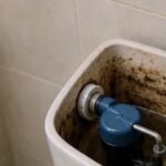Complete Guide: Eco-Friendly Cleaning and Natural Descaling of Your Toilet Tank